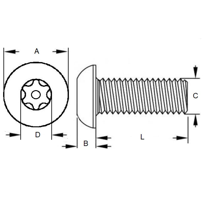 1063314 | SCS0500-050-B-SK-S4 (6 Pcs) --- Security Screws - M5 - 5x0.8mm - 50 mm - 304 Stainless Button Screw