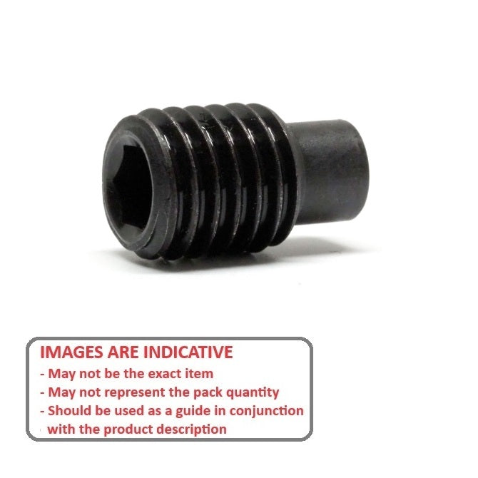 1062421 | SS050M-0250-AS-DP (5 Pcs) --- Dog Point Carbon Steel Socket Set Screws - M5 - 5x0.8mm - 22.3 mm  - Carbon Steel Screw