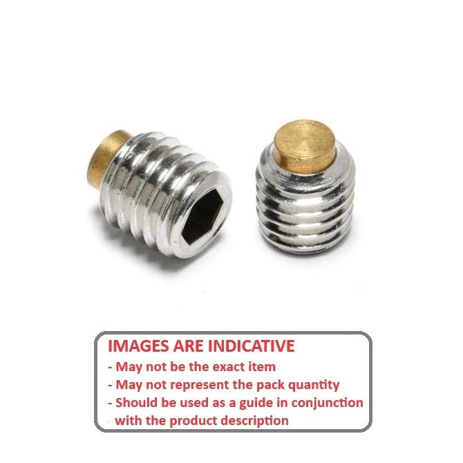 1068323 | SS060M-0500-S4-BT --- Brass Tipped Socket Set Screws - M6 - 6x1mm - 50 mm - Stainless Steel 304 Similar to A2, 18-8 HRB80 Screw