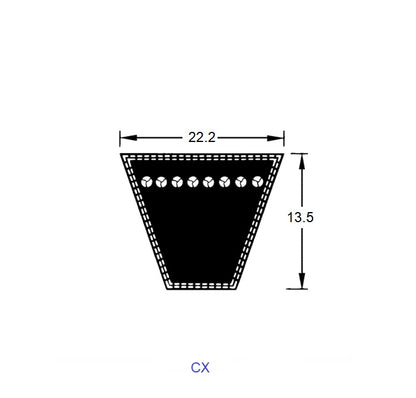1219885 | BV22-01295-CX51 --- Vee Belts - 1295.4 - 51.0 in. - mm - - - 22.2 x 13.5mm Notched CX - Natural Rubber - Raw Edge Belt