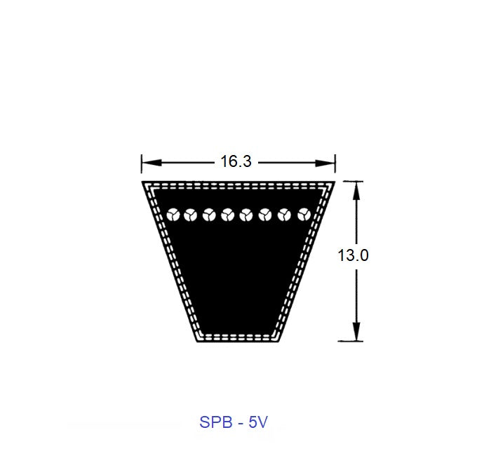 1221005 | BV16-02494-5V1000 --- Wedge Belts - 2494 mm - 16.3 x 13.0mm - Natural Rubber - Fabric Jacket Belt