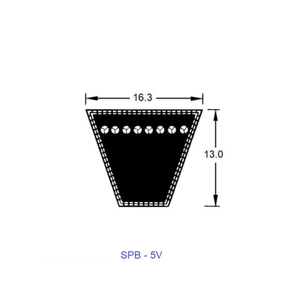 1221005 | BV16-02494-5V1000 --- Wedge Belts - 2494 mm - 16.3 x 13.0mm - Natural Rubber - Fabric Jacket Belt