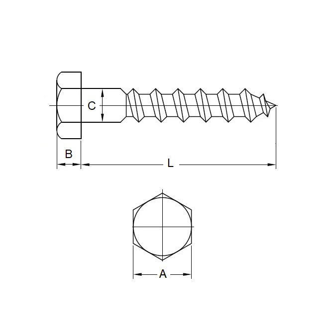 1083243 | SCT0800-050-CO-S6 (50 Pcs) --- Coach Screws - M8x1.25 - 50 mm - Stainless Steel 316 Similar to A4, 18-10