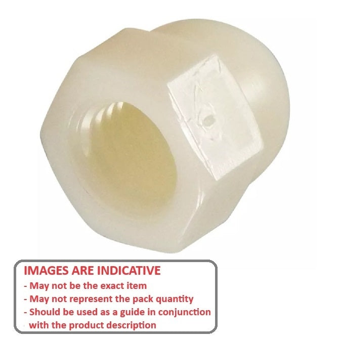 1059918 | NT050M-DM-NY (20 Pcs) --- Dome Nuts - M5 - 5x0.8mm - Nylon - Zytel 101 - 10 mm Nut