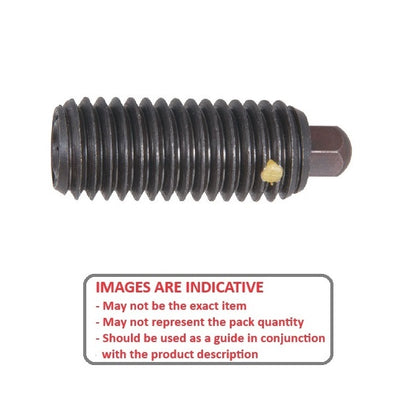 1120026 | PLST-191C-445-C-HXLK-166 --- Spring Plungers - 3/4-10 UNC - 19.05mm - 44.5 mm - 29.8 N No Handle - Steel Body with Acetal Plunger