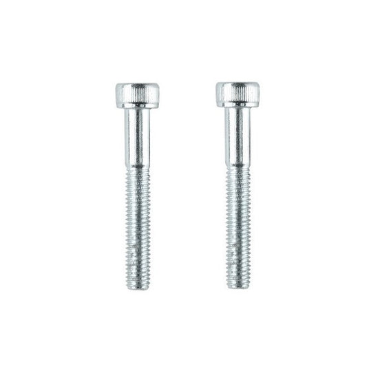 Socket Cap Screws - M3 -3x0.5mm- 20 mm - Zinc Plated Steel