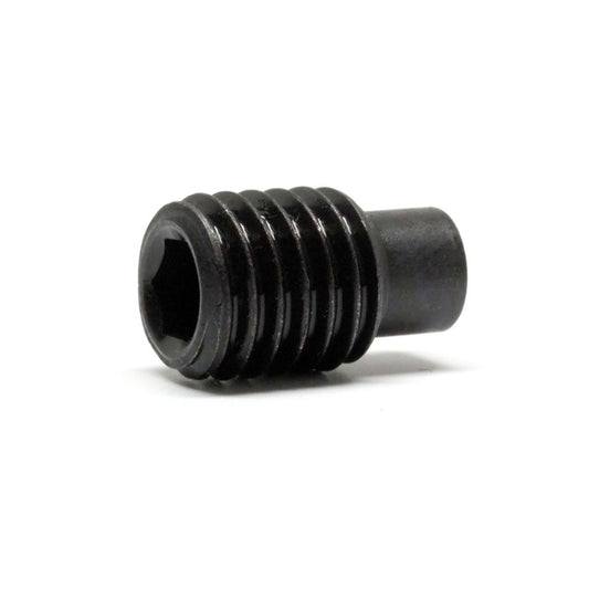 Dog Point Carbon Steel Socket Set Screws - M6 - 6x1mm - 16.8 mm   - Carbon Steel