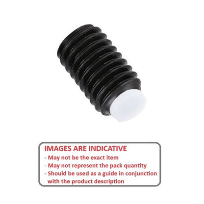 1053416 | SS040M-0160-AS-AT --- Acetal Tipped Socket Set Screws - M4 - 4x0.7mm - 16 mm Alloy Steel - Carbon Steel Screw