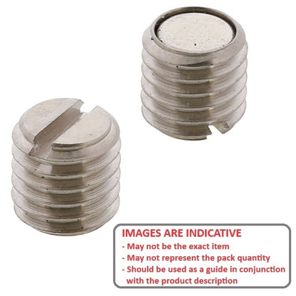 1122673 | SS200M-0250-C-MAG --- Magnetic End Socket Set Screws - M20 - 20x2.5mm - 25 mm - Magnetic Tipped - Carbon Steel Screw