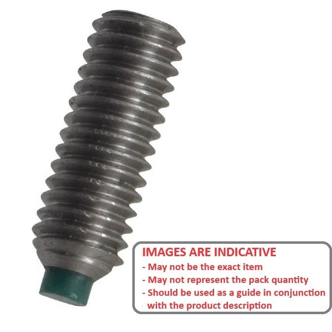 1051732 | SS040M-0058-S4-NT --- Nylon Tipped Socket Set Screws - M4 - 4x0.7mm - 5.8 mm 304 Stainless Steel - Stainless Steel 304 Similar to A2, 18-8 HRB80 Screw
