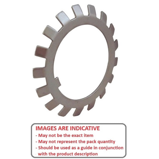 1160322 | WLB050-074-12-ST (5 Pcs) --- Lock Washers - 50x74 mm - 17 Nr. Tabbed - Carbon Spring Steel Washer